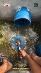 96K views · 1.1K reactions | Flood irrigation is a method used to...