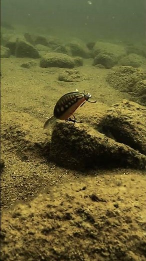 Balsa Crankbait Bouncing Through Rocks