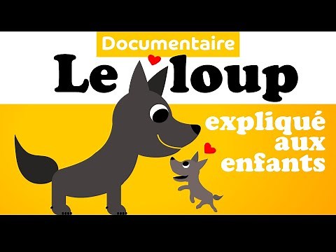 Le LOUP 🐺 Documentaire animalier pour enfant de maternelle