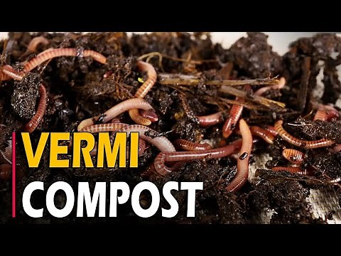 How to Make Vermicompost | How To make Vermicompost at Home From Kitchen Waste