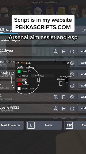 PekkaRobloxScripts on TikTok