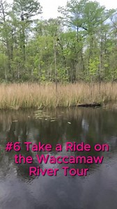 Spring break in Myrtle Beach is calling! 🌴☀️ From Broadway's buzz to river tour tranquility and sky-high thrills, we've lined up the top 8 must-dos for your ultimate getaway. Ready to make waves? 🌊 #SpringBreak #Travel #Adventure #MyrtleBeach #VacationVibes #FamilyFun #BeachLife #Entertainment #NatureTours #ThrillSeekers #SunBathing | MobileBrochure