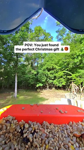 591K views · 10K reactions |  It’s here — Birdbuddy’s Black Friday Sale! Get up to 50% OFF the world’s first smart bird feeder   Capture stunning HD photos & videos  Get real-time alerts when birds visit  Identify 1000+ species automatically Thousands of bird lovers already use Birdbuddy to reconnect with nature — now’s your turn. Hurry — this deal ends soon! | Birdbuddy | Facebook