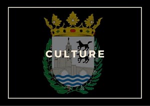 The Bilbao culture - Bilbao Bizkaia
