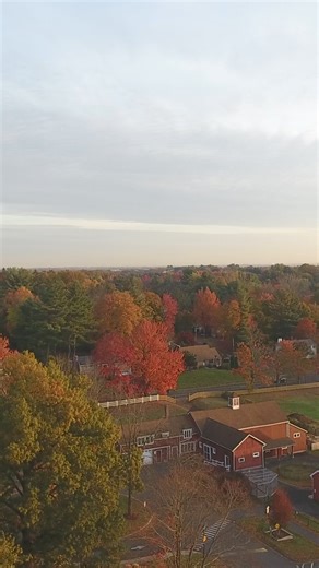 317 reactions · 35 comments | Now's the time to order your Fall planted bulbs! Plant them before the ground freezes and watch your garden burst into vibrant color next spring.  Don't miss out—order today and get ready for Spring!  | DutchGrown | Facebook