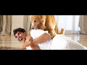 Entertainment Full HD | Akshay Kumar, Tamannaah Bhatia, Johnny Lever | Fact & Review 1080P HD