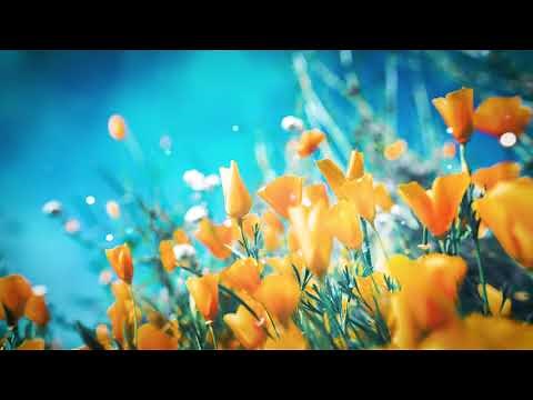 Relaxing spring sounds with peaceful music | Spring background video