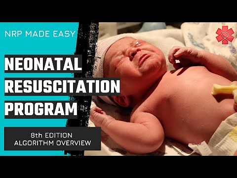 Neonatal Resuscitation Program (NRP) Algorithm Overview (8th Edition)