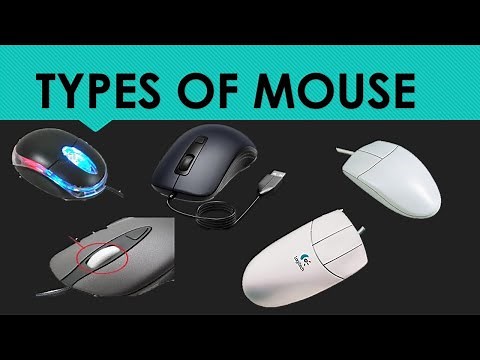Some types of mouse.