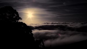 Canon 5D Mark II @ 8000 ft on Maui.