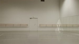 33K views · 553 reactions | Ballet Rotoscope. Created by Massahiko Sato - Production Euphrates | Secret Cinema | Facebook