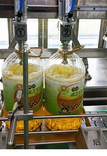 Sunflower Oil Production Line by Qifeng Oil Press Machine