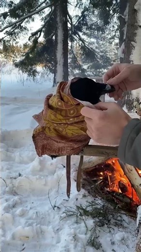 #raven #воронгоша #birds #commonraven #nature #ravenbird #wildlife