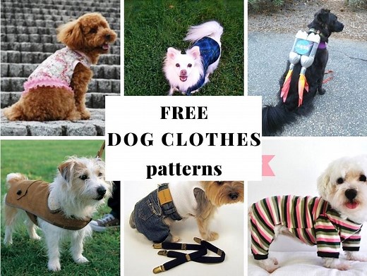 Free Printable Dog Clothes Patterns And Tutorials ⋆ Hello Sewing