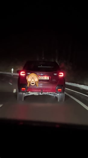 BMW vs Mini Cooper: A Humorous Car Comparison