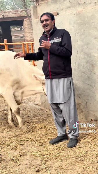 Explore the Heart of Dairy Farming in the UK