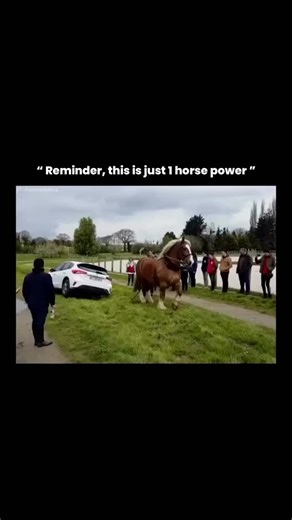 Explainer Zone™ on Instagram: "This video is a perfect reminder of how the term “horsepower”—a unit we use casually when talking about cars—originated from the real, raw strength of actual horses. One horsepower was defined by engineer James Watt in the 18th century as the power needed for a horse to pull around 180 kg with steady force, equivalent to 746 watts of energy. But the horses shown here are not ordinary riding horses—they’re draft horses, specially bred for strength, capable of pullin