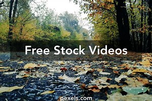 Nature Sounds Videos, Download The BEST Free 4k Stock Video Footage & Nature Sounds HD Video Clips