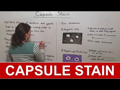 Capsule Stain