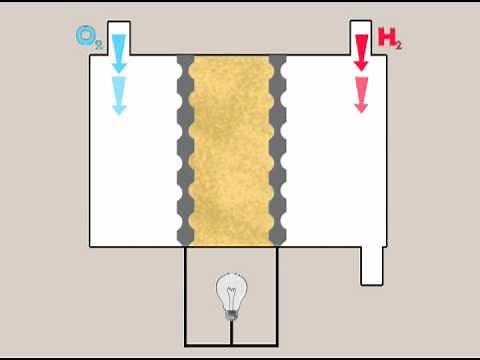 Fuel Cell Animation