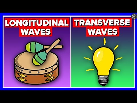 Difference between Transverse and Longitudinal Waves