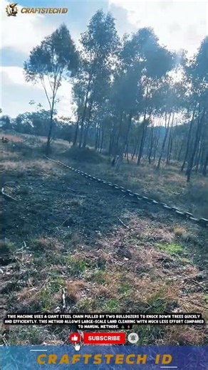 🚜 Giant Chain Felling Machine Innovation 🌳 #innovation #tech #machine #tools #woodworking