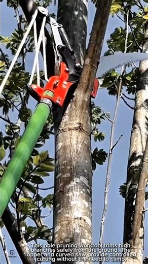 Pole Pruning Work tool for High Tree Branch Cutting #worktool