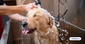 Guide to Startup Business Grants: Get Free Money for Your Business | Business.org