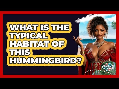 What Is The Typical Habitat Of This Hummingbird?