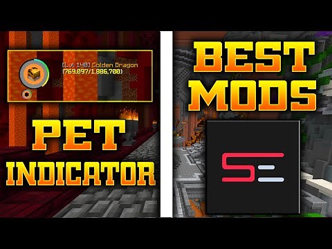 The ONLY Mods You'll Ever Need!! (Hypixel Skyblock)