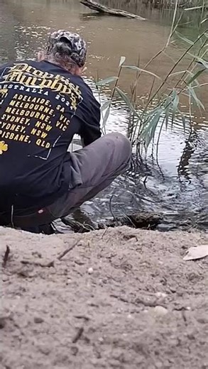 74cm murry cod release