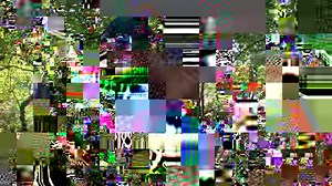 244K views · 1.2K reactions | Did you know that competitive navigation was a sport? Enter orienteering. Watch as the Trailheads crew gets lost (a bunch of times) while testing out their map and compass skills. | REI | Facebook