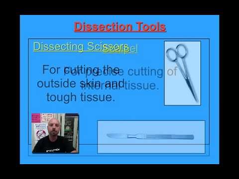 Dissection Tools