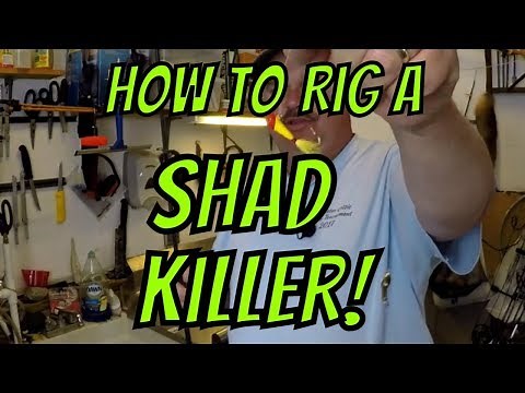 Shad Killer Rig