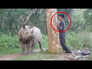 30 Scariest Animal Encounters of The Year (Part 2)