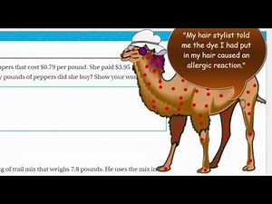Go Math 5th Grade Chapter 5 Review Part 3