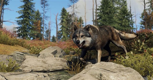 Rust Update: March 2022 Release Date, New Pets Feature, Changes, and More