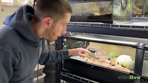 How to Create a Habitat for a Leopard Gecko