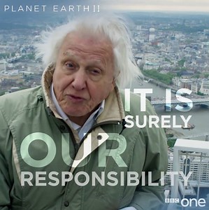 We must protect our planet, and all those creatures who call it home. #PlanetEarth2 | BBC One