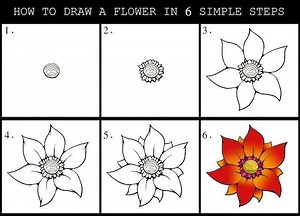 35  Flower Drawings for Beginners- Step by Step | HARUNMUDAK