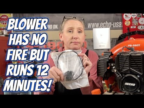 Echo Backpack Blower Starts,Then Dies.. Ignition module replacement. Repair/Vlog