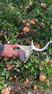 959K views · 2.1K reactions | It was already there | Vector | Facebook