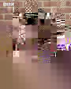 10K views · 270 reactions | One million plant and animal species face extinction, but you CAN make a difference. | BBC | Facebook