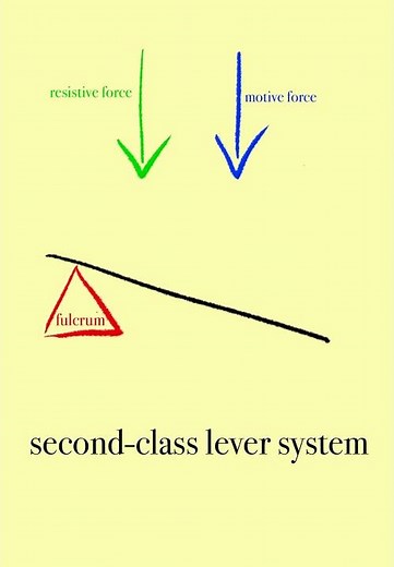 Lever Systems: First-class, Second-class, and Third-class