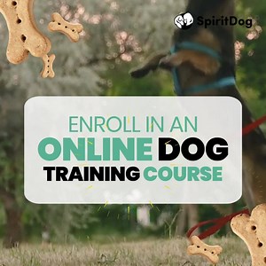 1.6K views · 75 reactions | Everything you need to know to make...