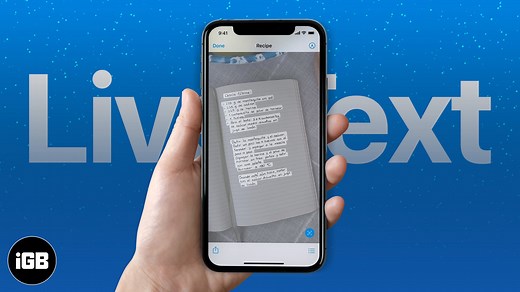How to use Live Text on iPhone or iPad – iGeeksBlog