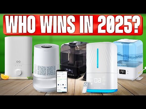 TOP 5 Best Humidifiers 2025