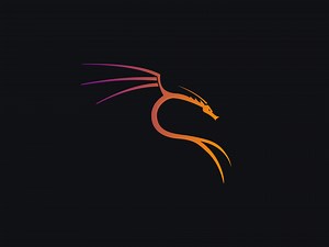 Kali Linux Logo Animation