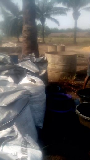 11 shares | Seeking top-quality Carbonised Palm kernel shell charcoal? Reach out to TG-OKPARA GLOBAL to experience the advantages of our Palm kernel shell charcoal. Contact us now via WhatsApp or call +2348086220258. To ensure your safety, please make payments at our factory after loading your goods, and refrain from making online payments to unknown individuals. #palmkernelshellchacoal #bioenergy | Thankgod Okpara | Facebook