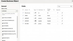 Visual Builder on Existing Oracle Database with Business Object